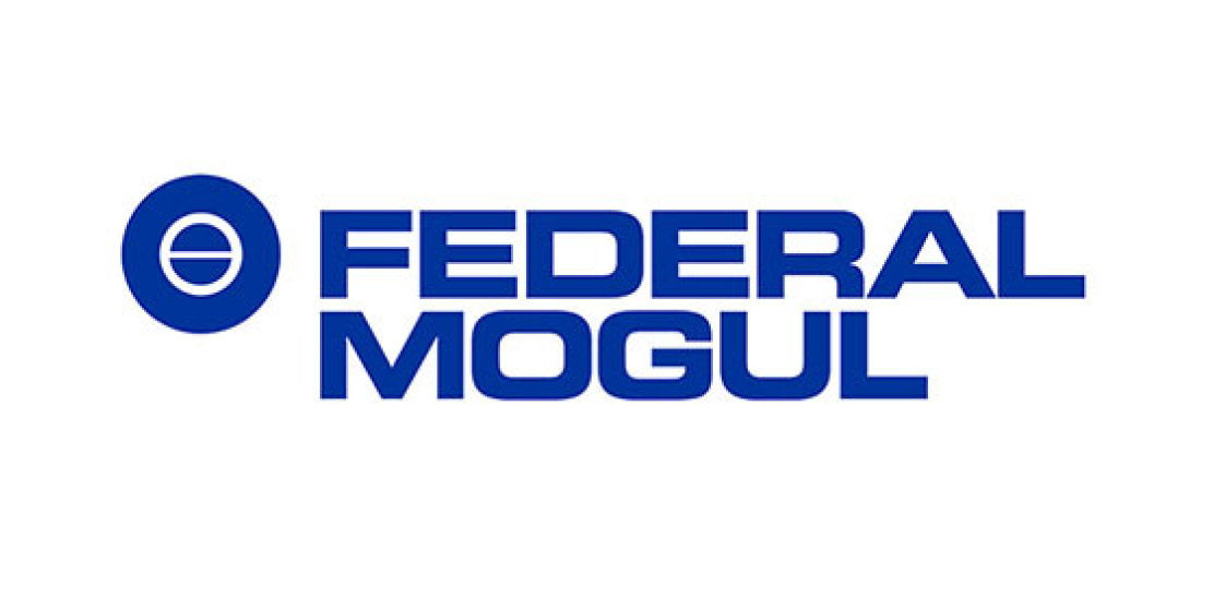 Federal- Mogul (China)